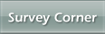 Useful information for survey respondents