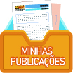 Minhas publicações Minhas publicações