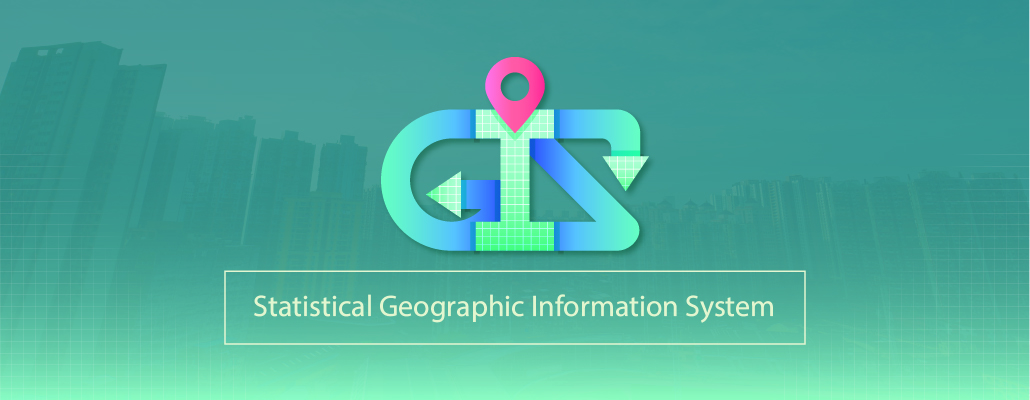 Statistical Geographic Information System